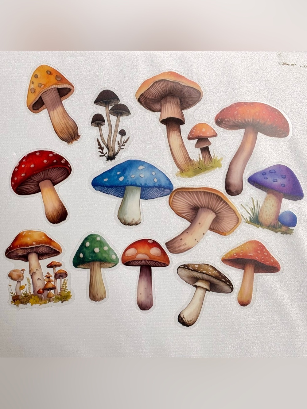 Colorful Large Mushroom Sticker Set - 13Pcs Colorful, Vinyl & Waterproof